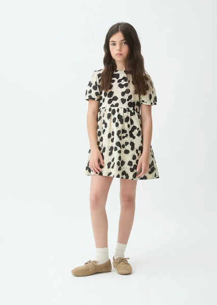 ABITO DALMATA