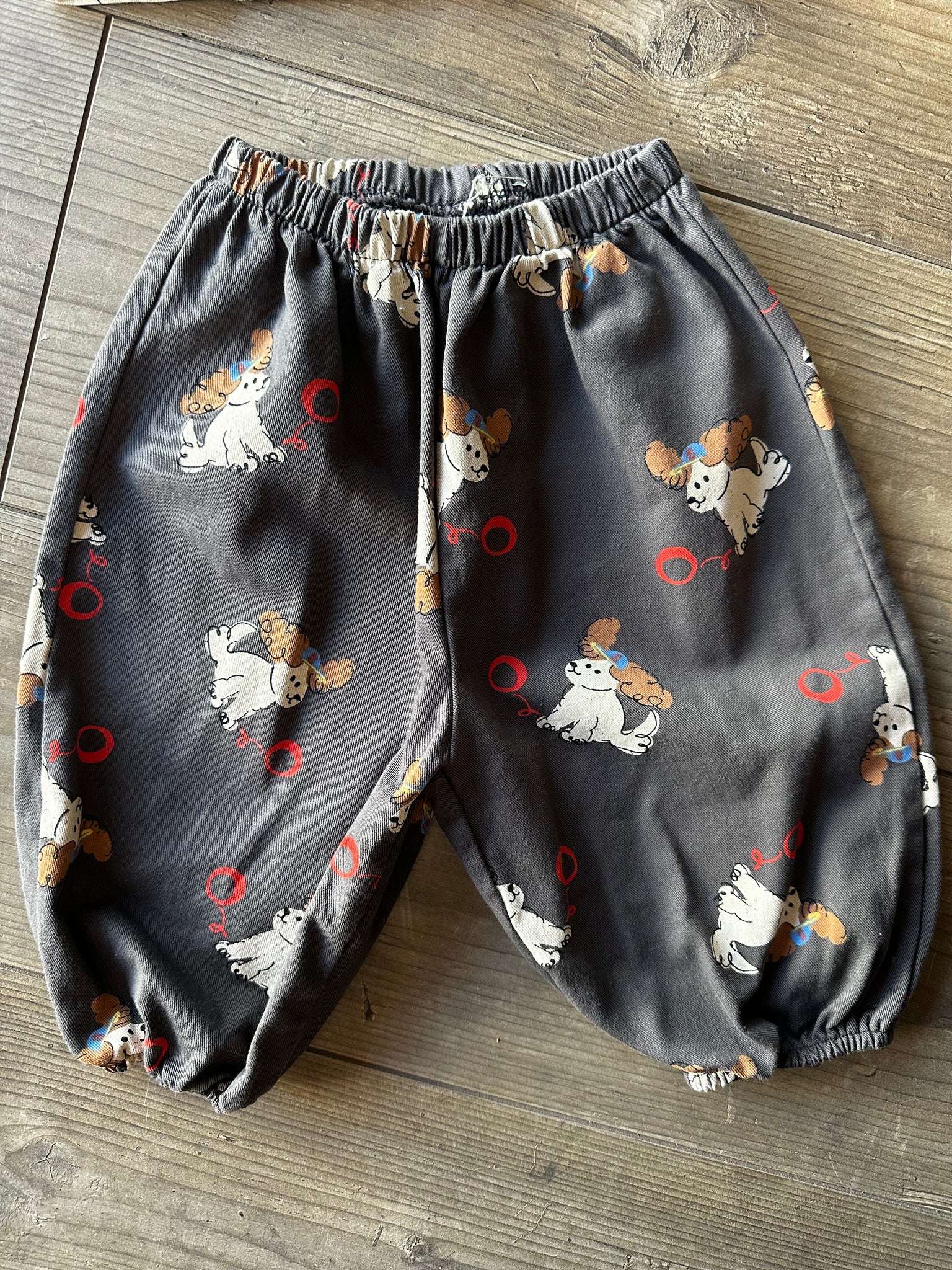 PANTALONE CANI