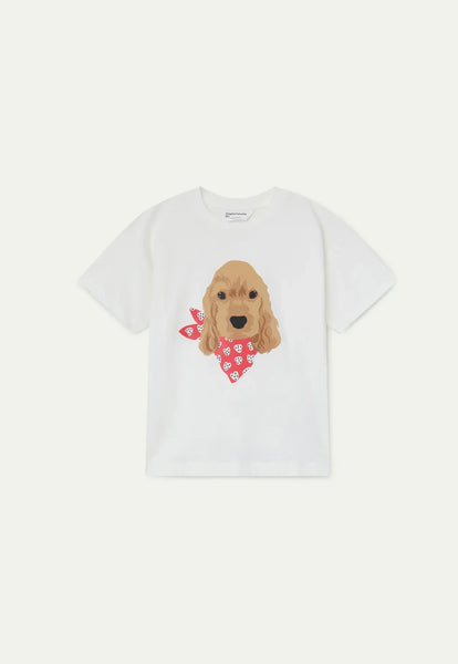 T-SHIRT CANE