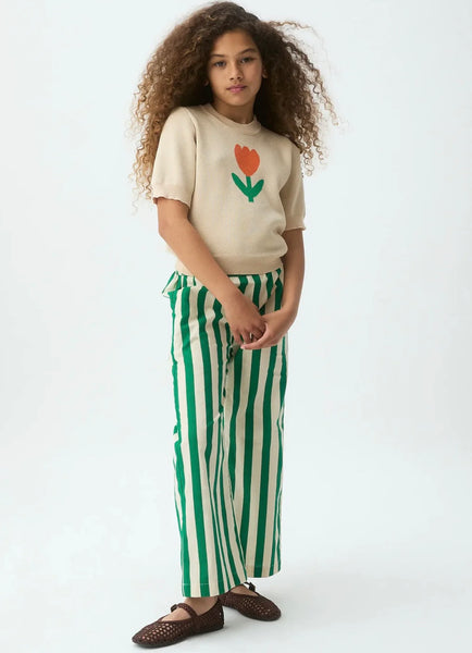 PANTALONE RIGHE C.F.