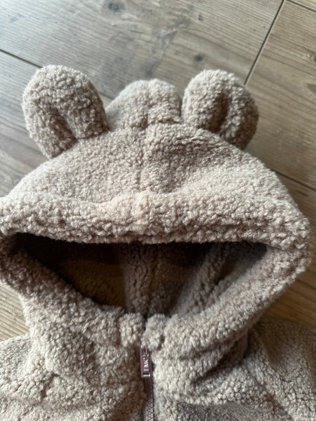 TEDDY EMC