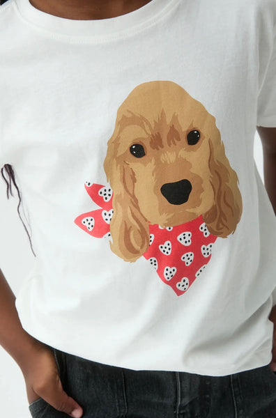 T-SHIRT CANE