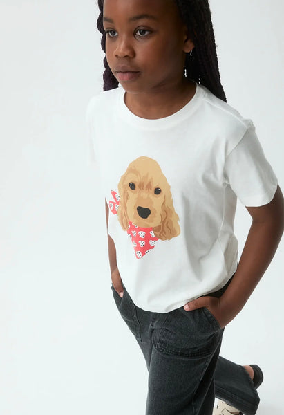 T-SHIRT CANE
