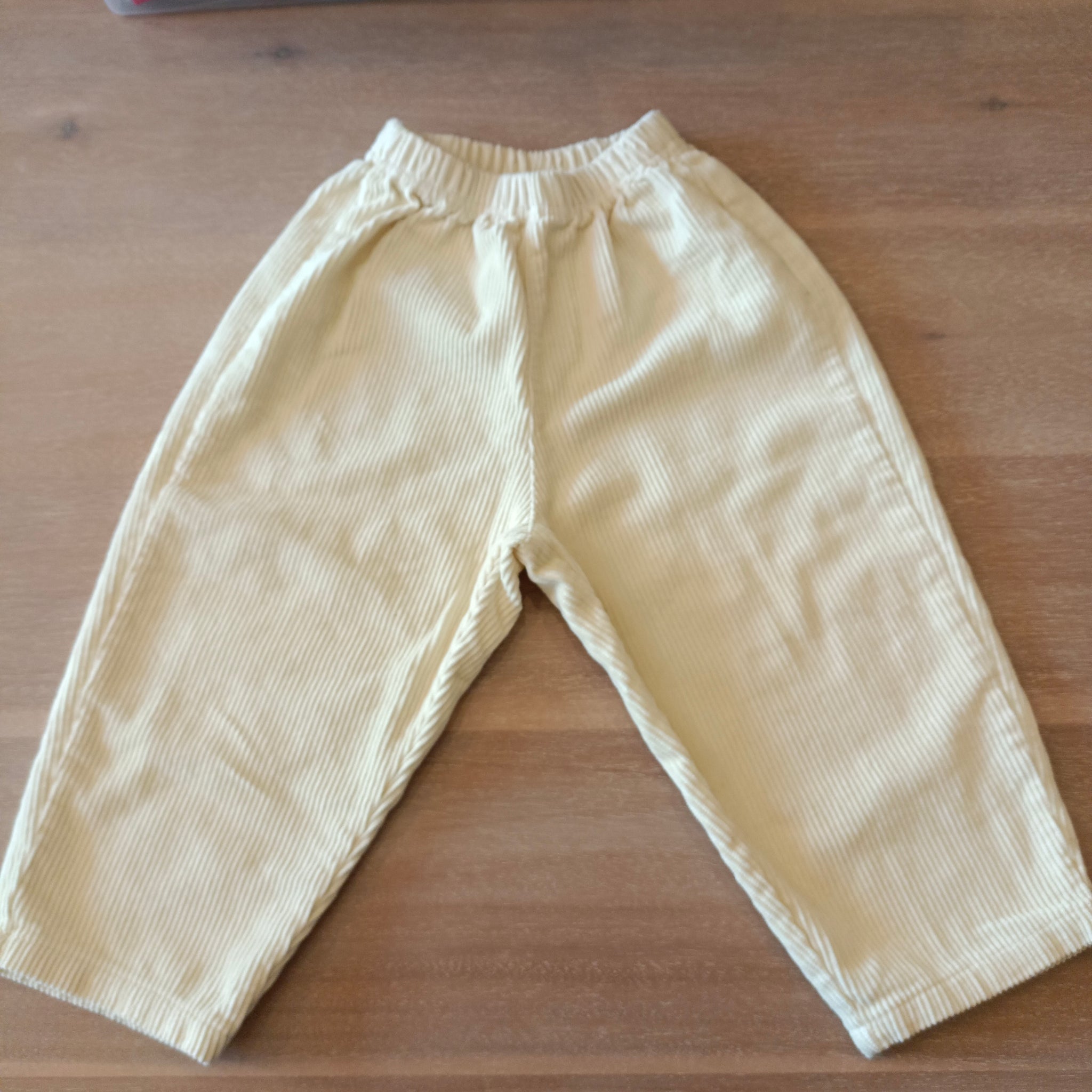 Pantalone in velluto